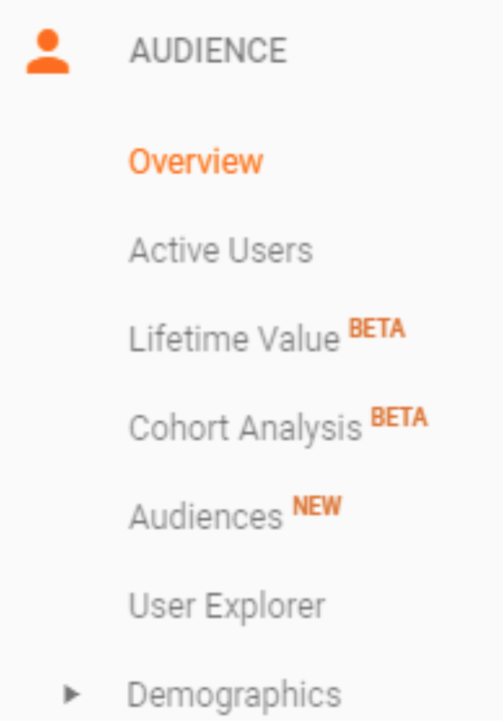 A Beginner's Guide to Google Analytics - Audience