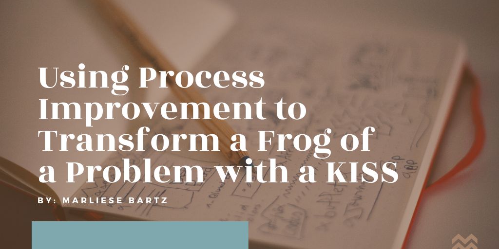 Process-Improvement-Marliese Bartz-HH