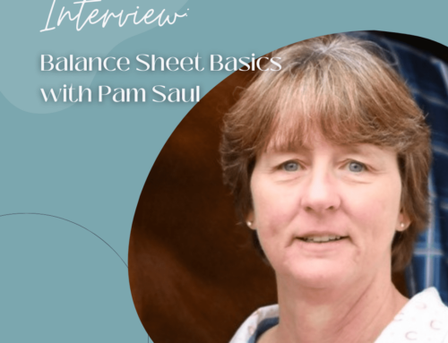 Balance Sheet Basics with Pam Saul