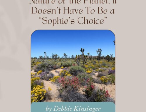 Nature or the Planet, It Doesn’t Have To Be a “Sophie’s Choice”
