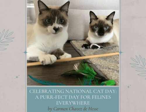 Celebrating National Cat Day: A Purr-fect Day for Felines Everywhere