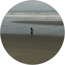 Theresa VanderMeer profile picture
